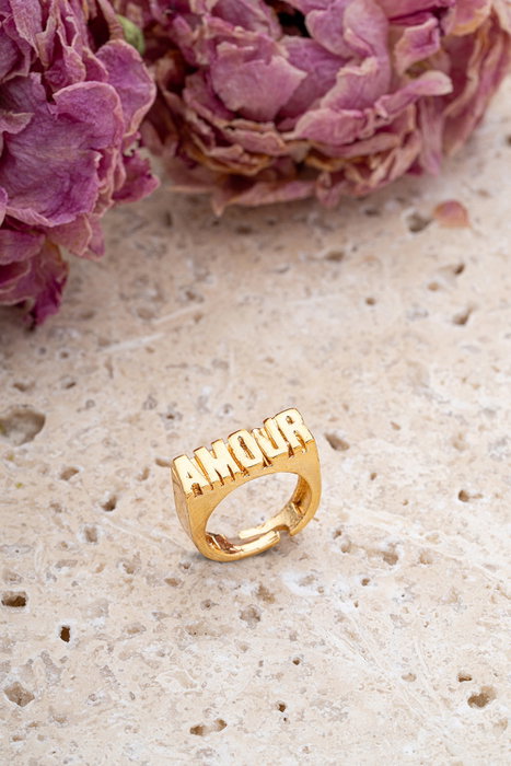 Heliophilia Silver Amouryuzuk Anillo de Latón con Circón Oro Heliophilia Silver Amouryuzuk Anillo de Latón con Circón Oro